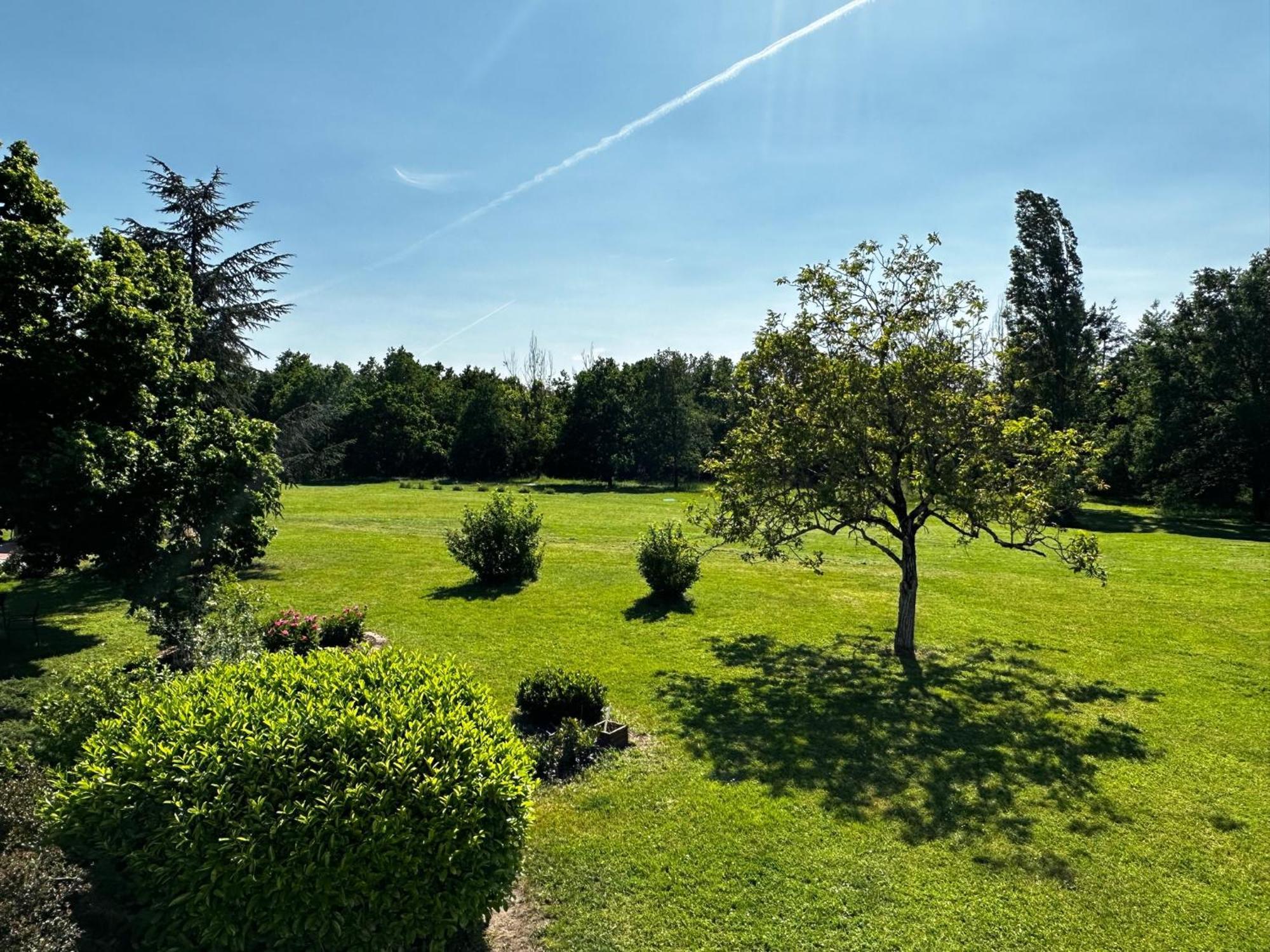 מלון Saint-Laurent-Nouan Domaine De Couilleuse מראה חיצוני תמונה